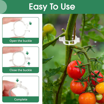 Plants Clips, Plastic Trellis Clips